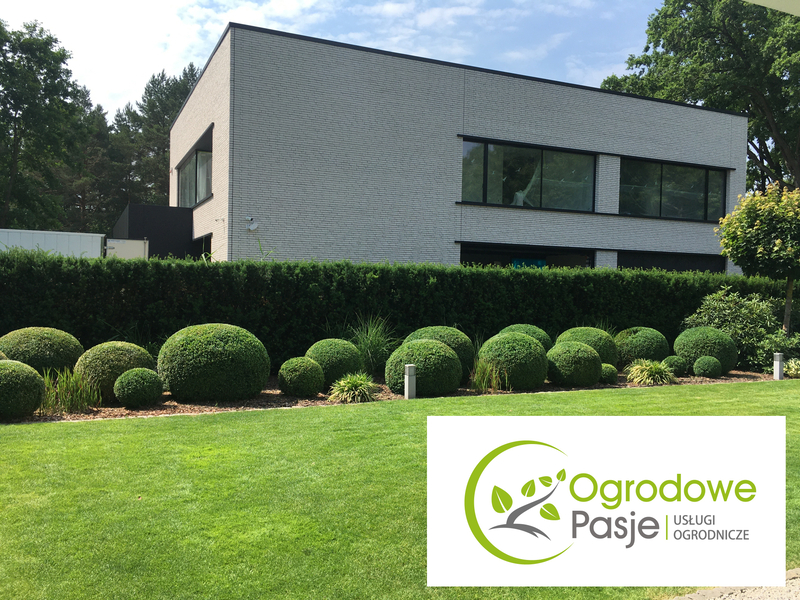 Zdjęcie na okładce dla Ogrodowe Pasje - Pielęgnacja ogrodów Warszawa Mokotów